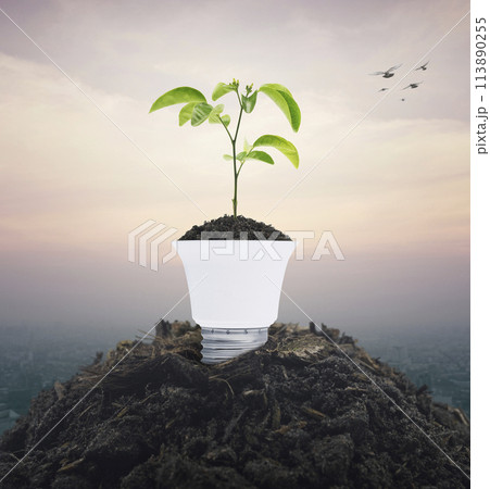 Green ecology and saving energy concept Green ecology and saving energy concept 113890255