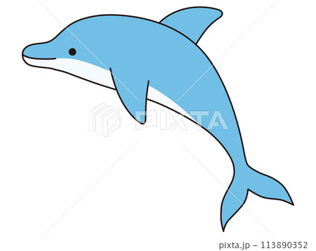 かわいいイルカのベクターイラスト。アイコン、海、水族館 113890352