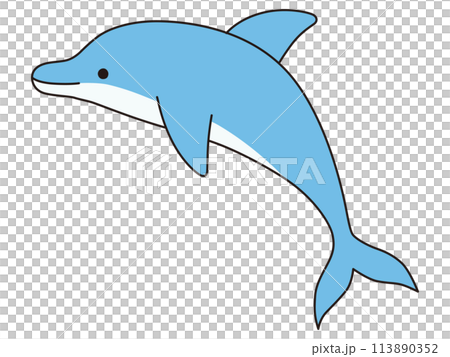 かわいいイルカのベクターイラスト。アイコン、海、水族館 113890352