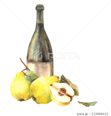 Quince fruit with bottle of wine, ripe yellow whole and cut fruit. Fruit liquor, wine, schnapps, juice, alcohol drink label, sticker print Watercolor hand drawn illustration Isolated white background. Quince fruit with bottle of wine, ripe yellow whole and cut fruit. Fruit liquor, wine, schnapps, juice, alcohol drink label, sticker print Watercolor hand drawn illustration Isolated white background. 113890412
