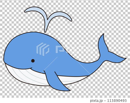 可愛鯨魚的向量圖。鯨魚，圖標，海，水族館 113890493
