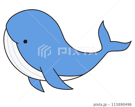 かわいいクジラのベクターイラスト。鯨、アイコン、海、水族館 113890496