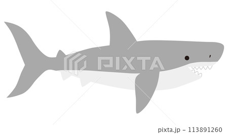 かわいいサメのベクターイラスト。鮫、アイコン、海、水族館、魚 113891260