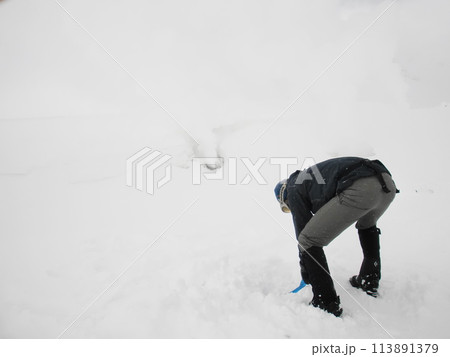 雪の中を飛ぶ 113891379
