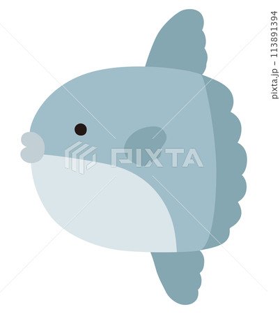 かわいいマンボウのベクターイラスト。アイコン、海、水族館、魚 113891394