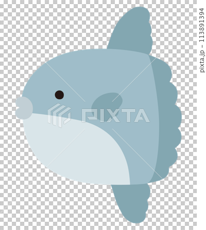 かわいいマンボウのベクターイラスト。アイコン、海、水族館、魚 113891394