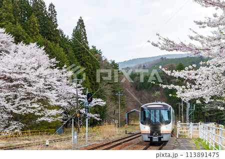 飛騨一之宮の桜と特急ひだ号 113891475