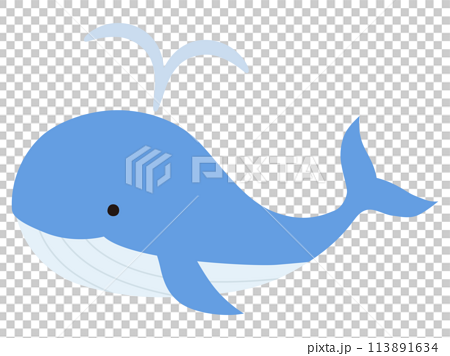 かわいいクジラのベクターイラスト。鯨、アイコン、海、水族館 113891634