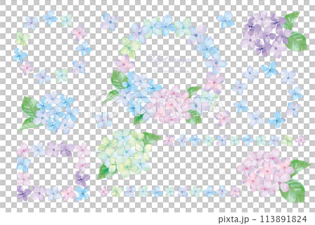 Watercolor hydrangea frame material set 113891824