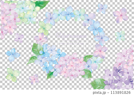 水彩で描いた紫陽花のフレーム素材 113891826