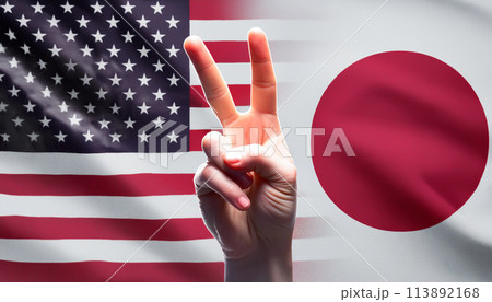 日米友好イメージ　日米同盟　日米安保条約 113892168
