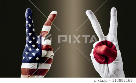 日米友好イメージ　日米同盟　日米安保条約 113892169