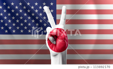 日米友好イメージ　日米同盟　日米安保条約 113892170