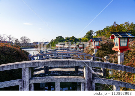 八条ヶ池　湖畔の錦水亭（京都府長岡京市） 113892998