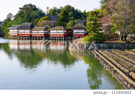 八条ヶ池　湖畔の錦水亭（京都府長岡京市） 113893001