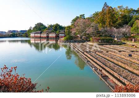 八条ヶ池　湖畔の錦水亭（京都府長岡京市） 113893006