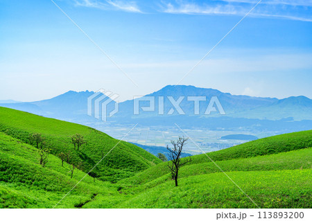 うららかな春の陽ざしを背景に阿蘇山とミルクロードから観える絶景風景 113893200