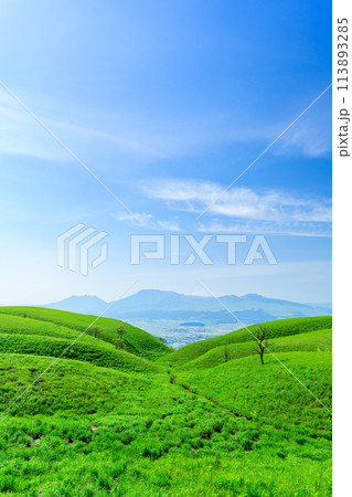 うららかな春の陽ざしを背景に阿蘇山とミルクロードから観える絶景風景 113893285