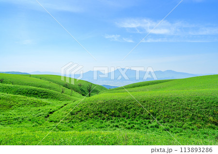 うららかな春の陽ざしを背景に阿蘇山とミルクロードから観える絶景風景 113893286