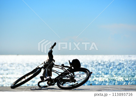 砂浜に止められたビーチクルーザー 113893716