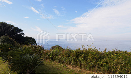 湘南三浦半島の神奈川県横須賀市荒崎海岸の夏　 113894011