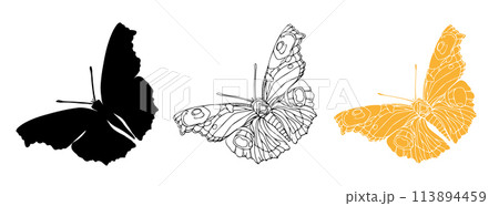 Butterfly black ink line art and detail silhouette illustrations for laser cutting. Insect set for coloring page, tattoo, hand drawn stickers. Vector illustration, isolate on white background Butterfly black ink line art and detail silhouette illustrations for laser cutting. Insect set for coloring page, tattoo, hand drawn stickers. Vector illustration, isolate on white background 113894459