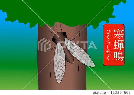 寒蟬鳴 ひぐらしなく 113894662