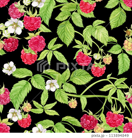 Raspberry branches on a black background. Watercolor seamless background with summer red berries. Illustration for spring cover, summer textile, wedding invitation. Red berries, flowers, leaves. 113894849