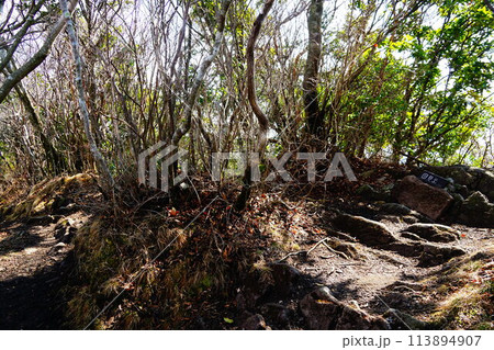 佐賀 長崎 多良山系 国見岳 佐賀 長崎 多良山系 国見岳 113894907
