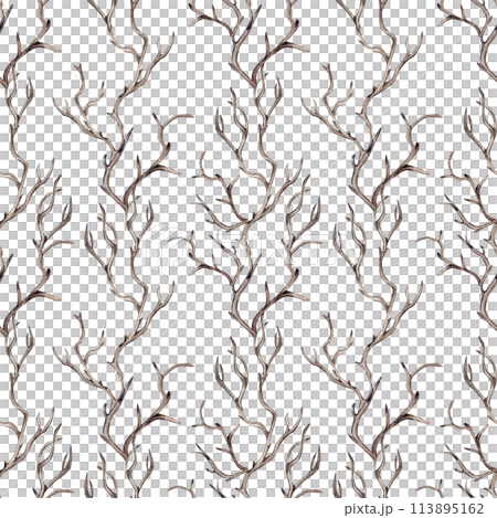 Dry branches without leaves watercolor seamless pattern isolated on white. Autumn winter illustration, woodland forest environment design. Botanical art with snag of wood. For package, textile, paper 113895162