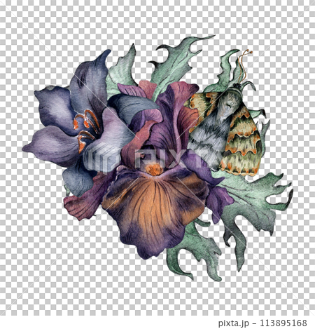 Watercolor black flowers and moth isolated on white. Gothic floral Illustration hand drawn. Botanical art with dark lily, purple iris, leaves. wedding decoration, invitation, backdrop, card, printing Watercolor black flowers and moth isolated on white. Gothic floral Illustration hand drawn. Botanical art with dark lily, purple iris, leaves. wedding decoration, invitation, backdrop, card, printing 113895168