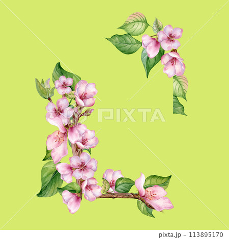 Watercolor frame with pink flowers of fruit tree isolated on green. Design template of floral frame with blossom branch hand drawn. Element for wedding invitation, card, packaging, label product Watercolor frame with pink flowers of fruit tree isolated on green. Design template of floral frame with blossom branch hand drawn. Element for wedding invitation, card, packaging, label product 113895170