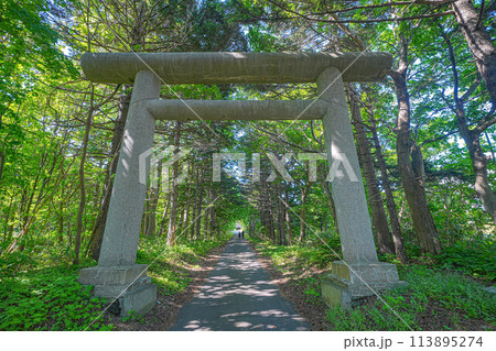 利尻山神社 113895274