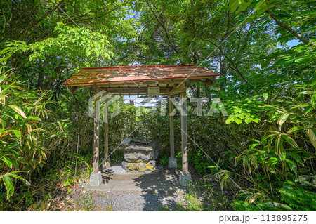 利尻山神社 113895275