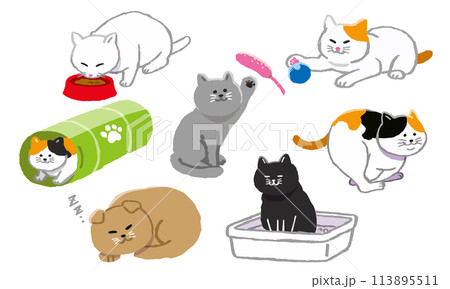 猫の暮らしイラストセット 113895511