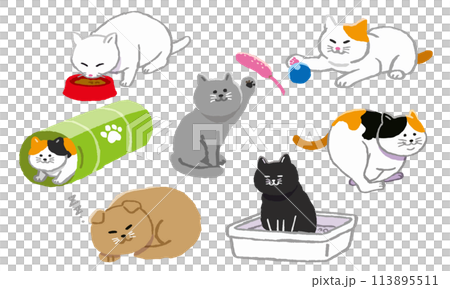 猫の暮らしイラストセット 113895511