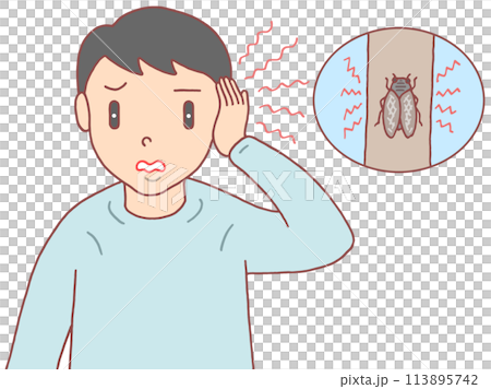 病気・疾病・疾患 - 耳鳴り・聴力障害・聴覚障害 病気・疾病・疾患 - 耳鳴り・聴力障害・聴覚障害 113895742
