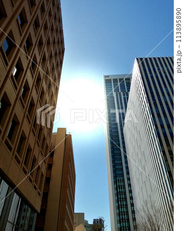東京都港区気象庁ビル前通りの風景 東京都港区気象庁ビル前通りの風景 113895890