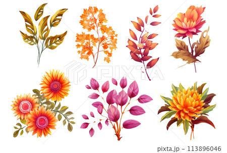 set vector illustration autumn bouquet elements isolated on white background 113896046