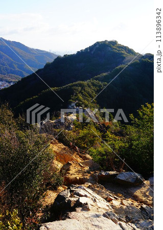 六甲全山縦走路　須磨アルプス　馬の背 113896342