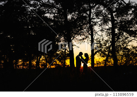 Silhouette of two people standing in front of trees 113896559