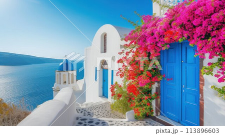 Colorful pretty pink Bougainvillea blooming with white and yellow buildings Colorful pretty pink Bougainvillea blooming with white and yellow buildings 113896603