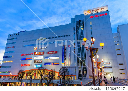 栃木県　JR宇都宮駅西口の都市風景（西口ビル） 113897047