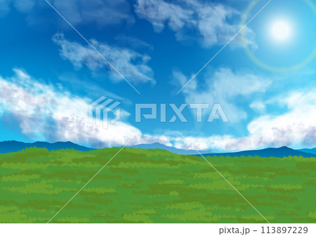 さわやかな草原と青空と太陽の背景 113897229