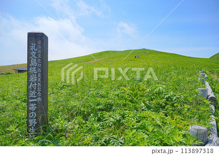 桃岩展望台コース 桃岩展望台コース 113897318