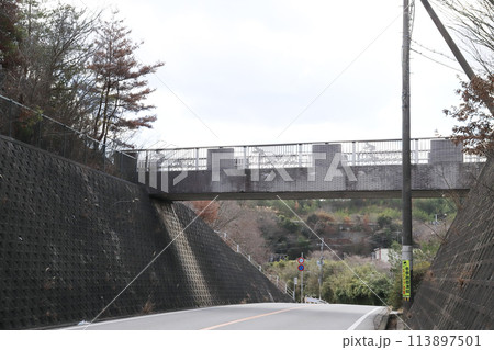 神出山田自転車道(兵庫県 神戸市 呑吐ダム つくはら湖) 神出山田自転車道(兵庫県 神戸市 呑吐ダム つくはら湖) 113897501