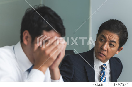 ビジネスパーソン：ビジネスシーン 113897524