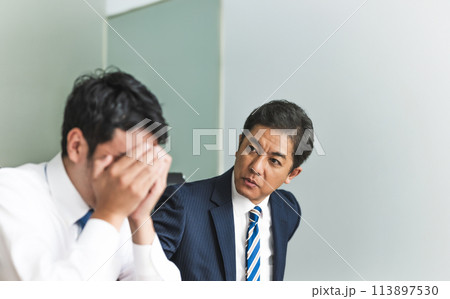 ビジネスパーソン:ビジネスシーン ビジネスパーソン:ビジネスシーン 113897530