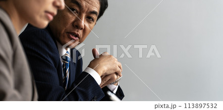 仕事中のビジネスパーソン:ビジネスシーン 仕事中のビジネスパーソン:ビジネスシーン 113897532