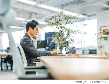 オフィスのビジネスシーン 113897534